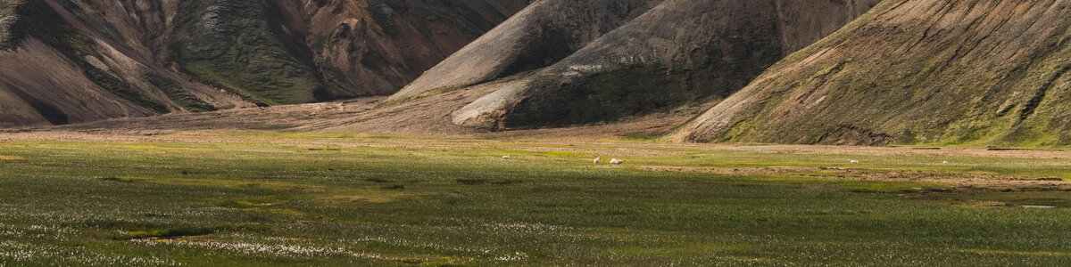 Meilleures maisons de vacances | Lit et petit déjeuné