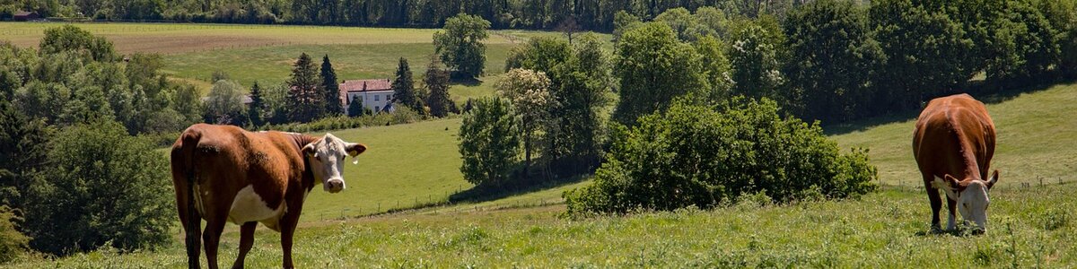 Top Vakantiehuizen | Bed and Breakfast