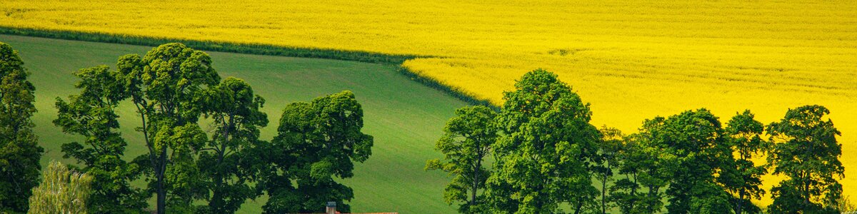 Top Vakantiehuizen | Bed and Breakfast