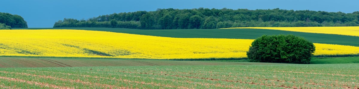 Top Vakantiehuizen | Bed and Breakfast