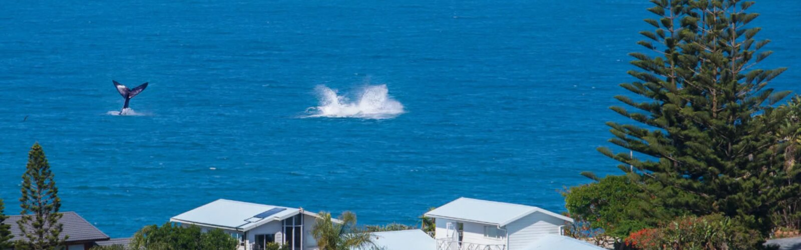 Top Holiday Homes | Bed and breakfast
