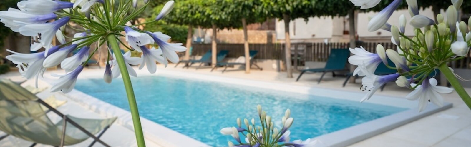 Meilleures maisons de vacances | Lit et petit déjeuné