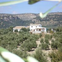 Top Vakantiehuizen | Bed and Breakfast