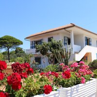 Top Vakantiehuizen | Bed and Breakfast
