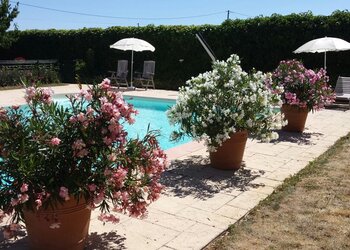 Top Holiday Homes | Bed and breakfast