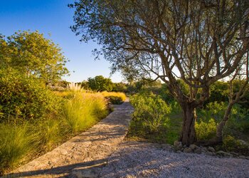 Top Holiday Homes | Bed and breakfast