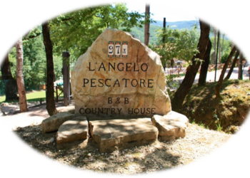 Top Holiday Homes | Bed and breakfast