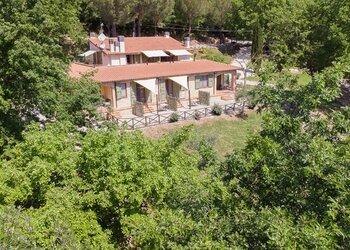 Top Holiday Homes | Bed and breakfast