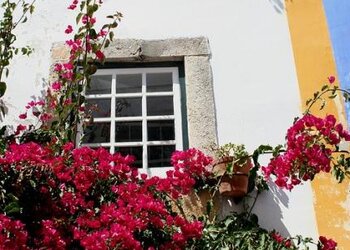 Top Holiday Homes | Bed and breakfast