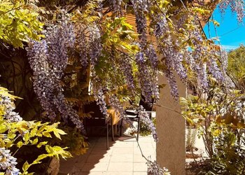 Top Holiday Homes | Bed and breakfast