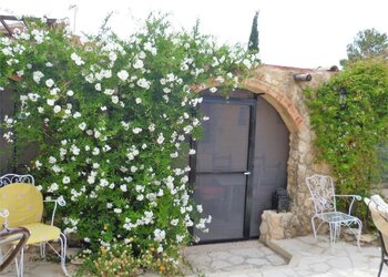 Top Holiday Homes | Bed and breakfast