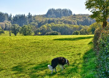 Top Holiday Homes | Bed and breakfast