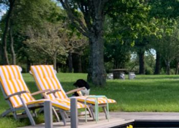 Top Holiday Homes | Bed and breakfast