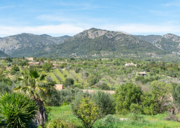 Top Holiday Homes | Bed and breakfast