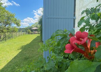 Top Holiday Homes | Bed and breakfast