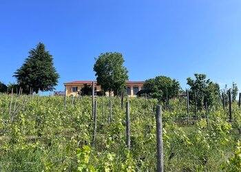 Top Holiday Homes | Bed and breakfast