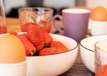 Top Holiday Homes | Bed and breakfast