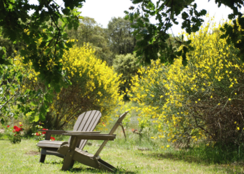 Top Holiday Homes | Bed and breakfast