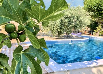 Top Holiday Homes | Bed and breakfast
