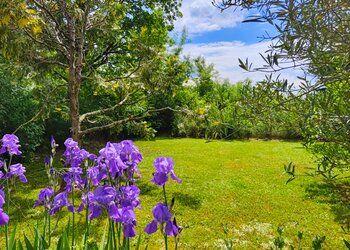 Top Holiday Homes | Bed and breakfast