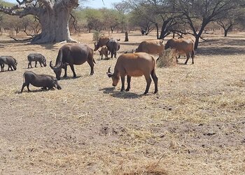 Top Holiday Homes | Bed and breakfast