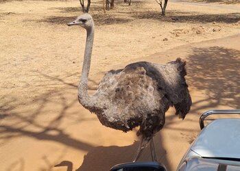 Top Holiday Homes | Bed and breakfast