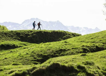 Top Holiday Homes | Bed and breakfast
