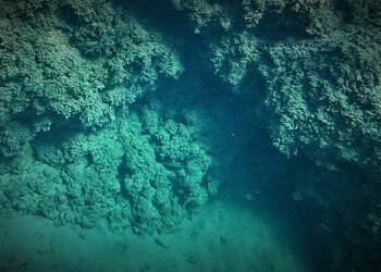 Top Holiday Homes | Bed and breakfast