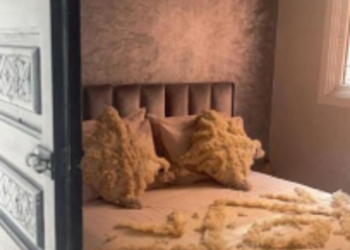 Top Holiday Homes | Bed and breakfast