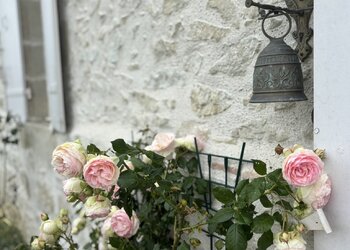 Top Holiday Homes | Bed and breakfast