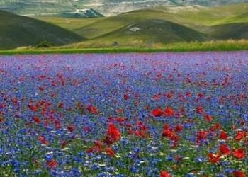 Top Holiday Homes | Bed and breakfast