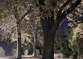 Top Holiday Homes | Bed and breakfast