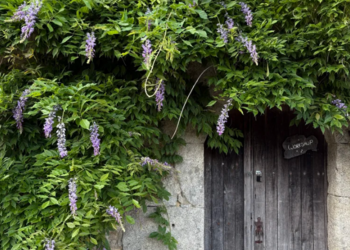 Top Holiday Homes | Bed and breakfast