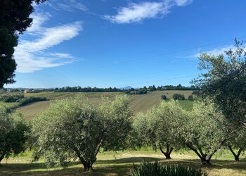 Top Holiday Homes | Bed and breakfast