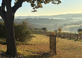 Top Holiday Homes | Bed and breakfast