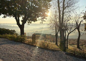 Top Holiday Homes | Bed and breakfast