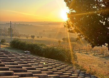 Top Holiday Homes | Bed and breakfast