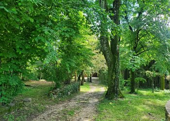 Top Holiday Homes | Bed and breakfast