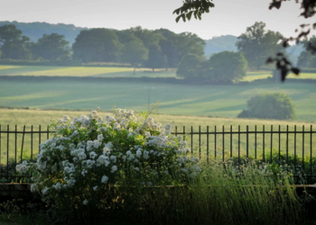 Top Holiday Homes | Bed and breakfast