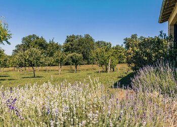 Top Holiday Homes | Bed and breakfast