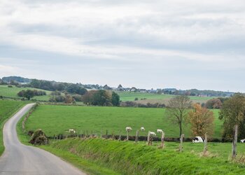 Top Holiday Homes | Bed and breakfast