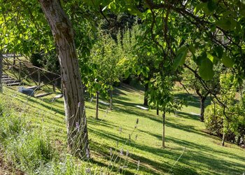 Top Holiday Homes | Bed and breakfast