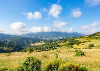 Top Holiday Homes | Bed and breakfast