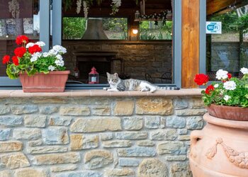 Top Holiday Homes | Bed and breakfast