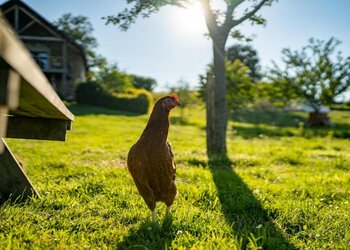 Top Holiday Homes | Bed and breakfast