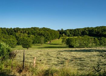 Top Holiday Homes | Bed and breakfast