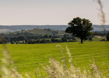 Top Holiday Homes | Bed and breakfast