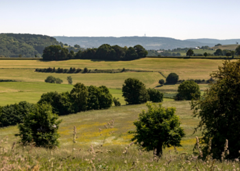 Top Holiday Homes | Bed and breakfast