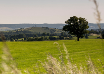 Top Holiday Homes | Bed and breakfast