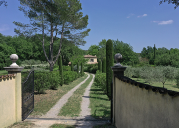 Top Holiday Homes | Bed and breakfast
